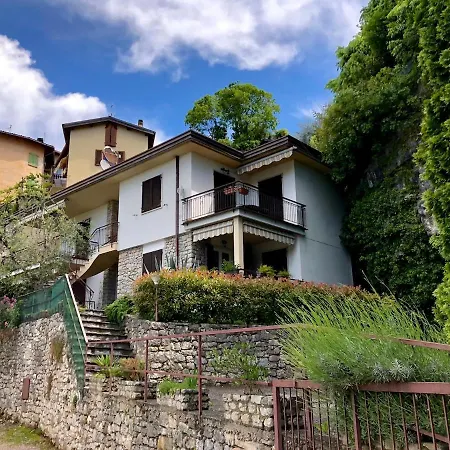 The House *